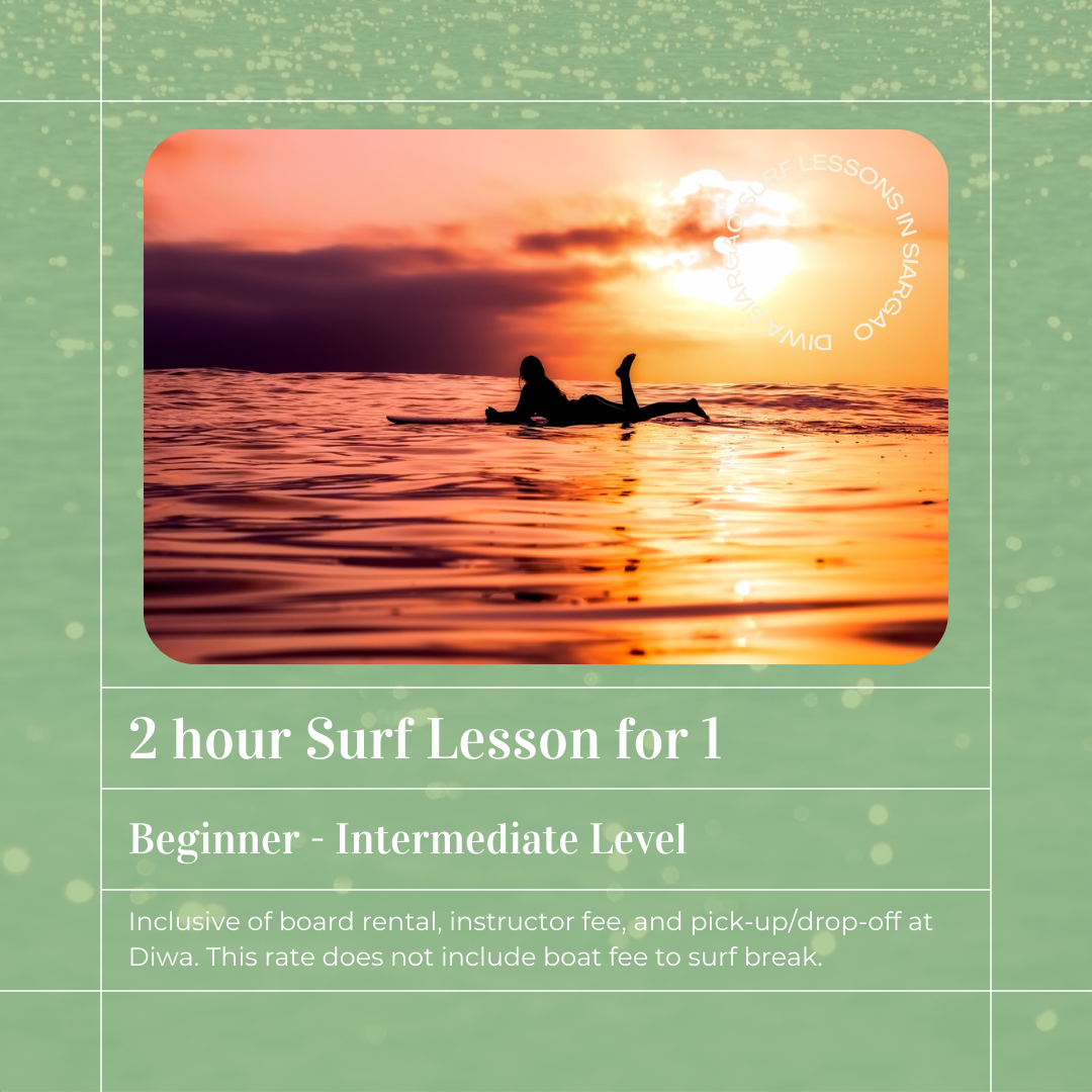 2 Hour Surf Lesson