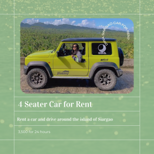 Car Rental