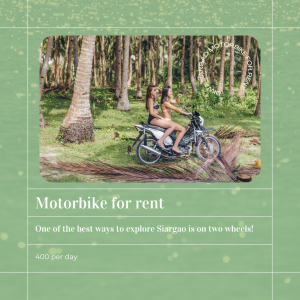 Motorbike Rental