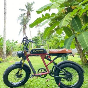 Ebike Rental